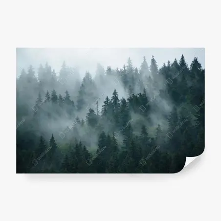 Papier peint brume matinale sur la forêt de sapins – Wallnifity®
