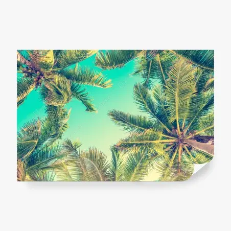 Papier peint vue rétro de palmiers sur ciel turquoise – Wallnifity®