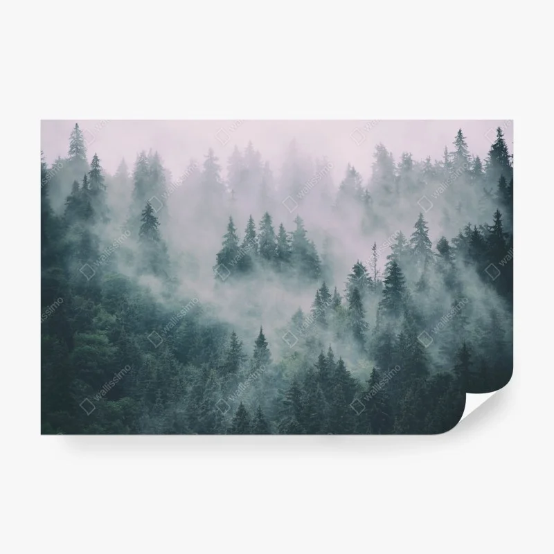Papier peint forêt de conifères embrumée – Wallnifity® Papier peint forêt de conifères embrumée – Wallnifity®
