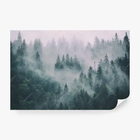 Papier peint forêt de conifères embrumée – Wallnifity®