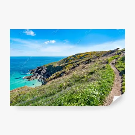 Papier peint sentier côtier vers Hor Point, St Ives – Wallnifity®