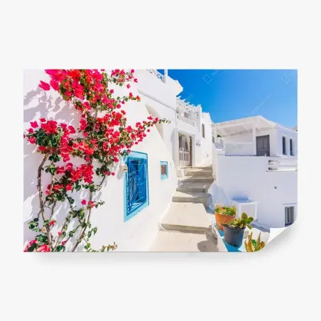 Papier peint ruelle ensoleillée de Santorin aux bougainvilliers – Wallnifity®