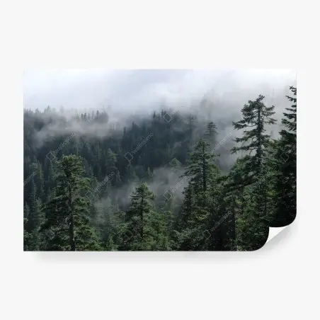 Papier peint brume éternelle sur la forêt de Larch Mount, Oregon – Wallnifity®