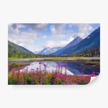Papier peint reflets alpins à Tern Lake, Alaska – Wallnifity®