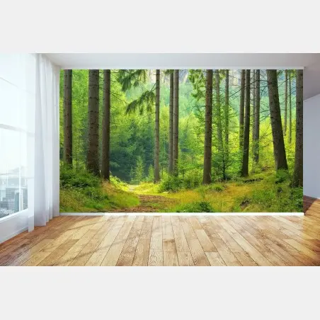 Papier peint sentier lumineux en forêt – Wallnifity®