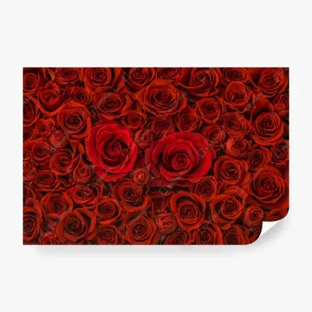 Papier peint mur floral de roses rouges – Wallnifity®