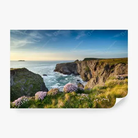 Papier peint falaises fleuries au bord de l'océan – Wallnifity®