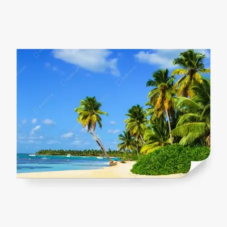 Papier peint escapade tropicale sur une plage de cocotiers – Wallnifity®