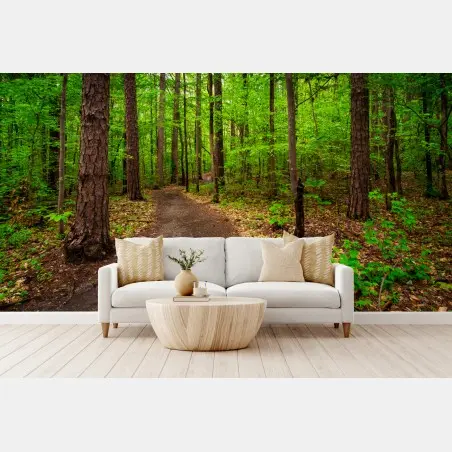 Papier peint sentier forestier verdoyant – Wallnifity®
