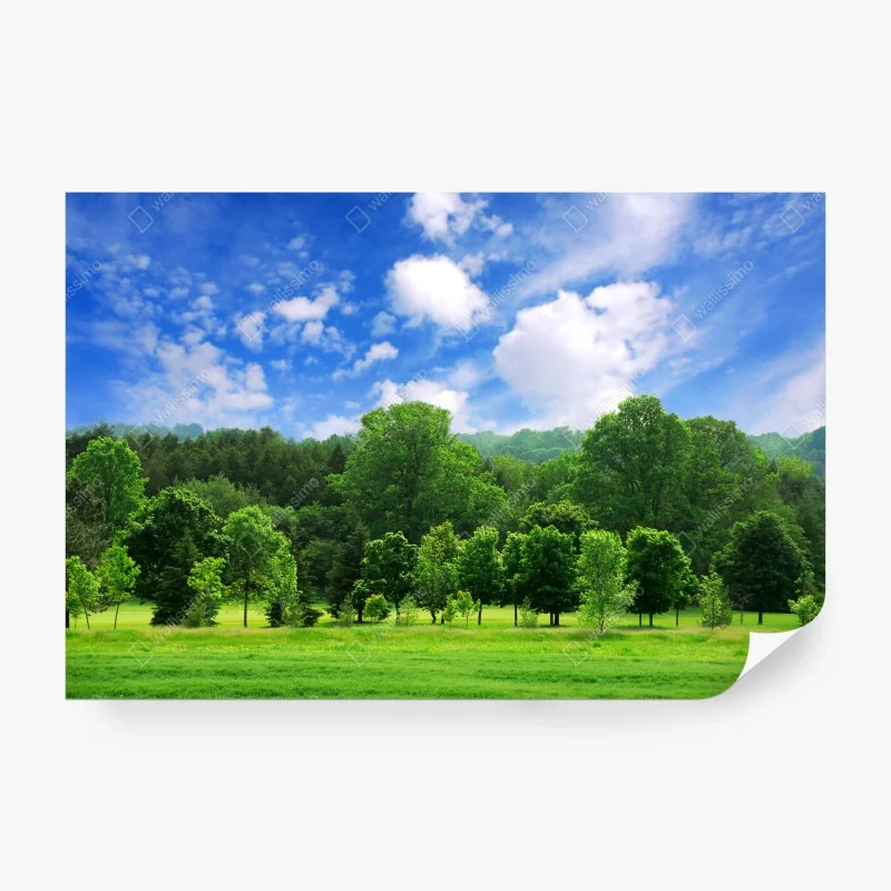 Papier peint forêt verdoyante sous un ciel bleu éclatant – Wallnifity® Papier peint forêt verdoyante sous un ciel bleu éclatant – Wallnifity®