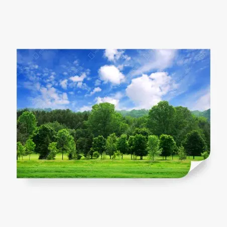 Papier peint forêt verdoyante sous un ciel bleu éclatant – Wallnifity®