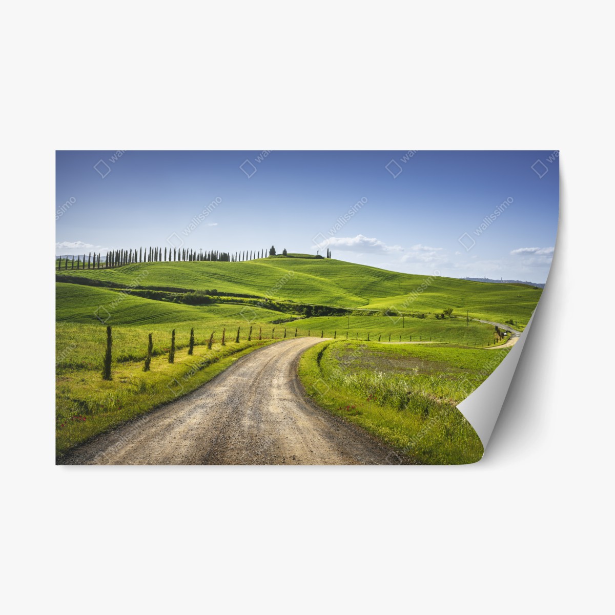 Sticker repositionnable route sinueuse en Toscane près de Sienne – Wallnifity®