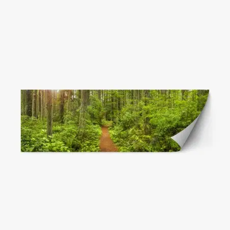 Sticker repositionnable sentier forestier verdoyant et paisible – Wallnifity®
