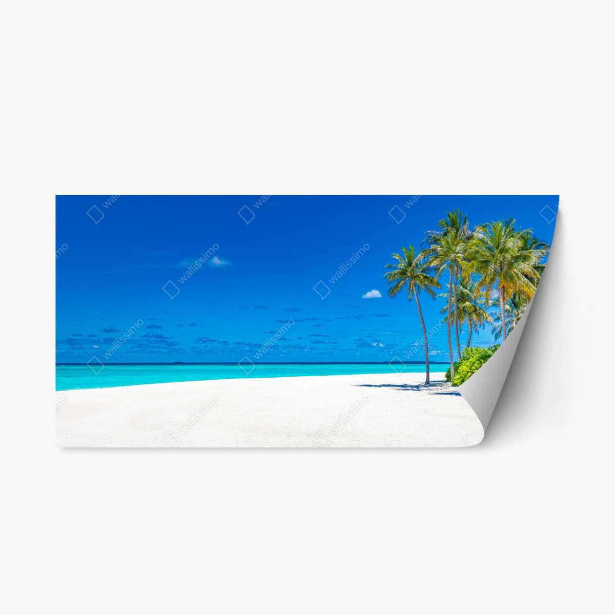 Sticker repositionnable plage paradisiaque aux palmiers – Wallnifity®