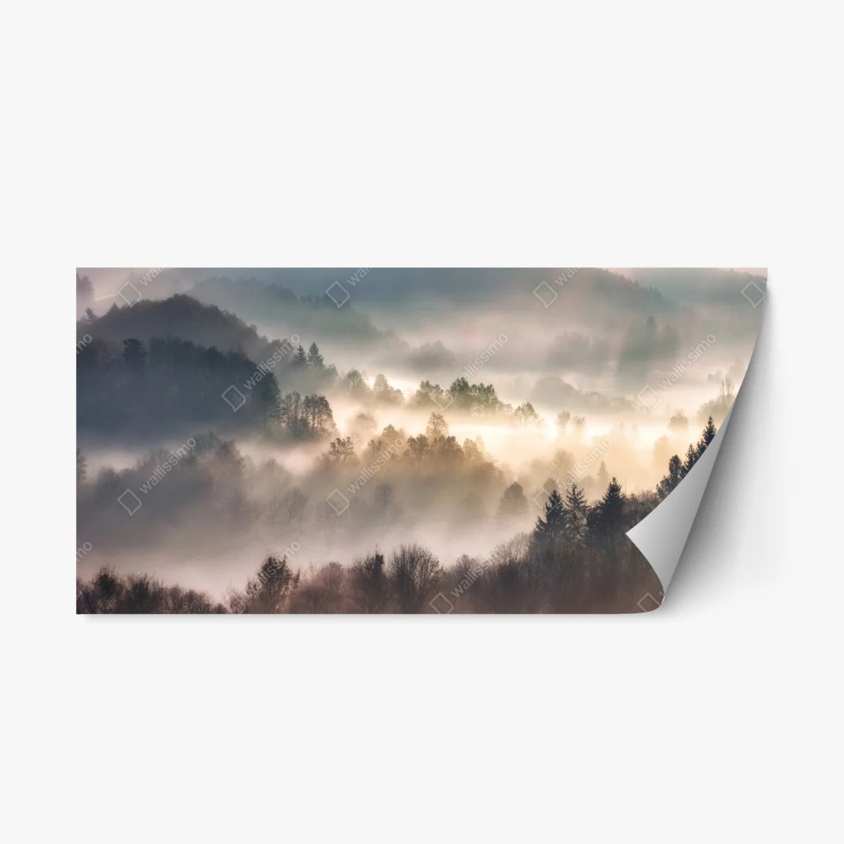Sticker repositionnable brume matinale sur la forêt – Wallnifity® Sticker repositionnable brume matinale sur la forêt – Wallnifity®