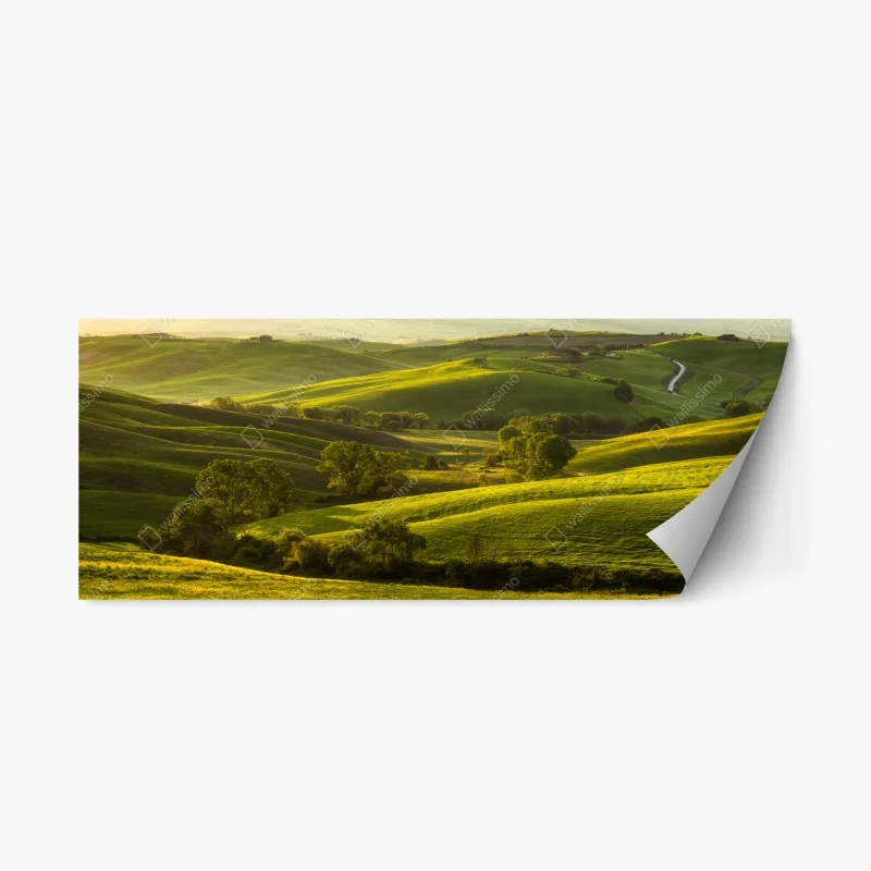 Stickers repositionnables – Wallnifity®
