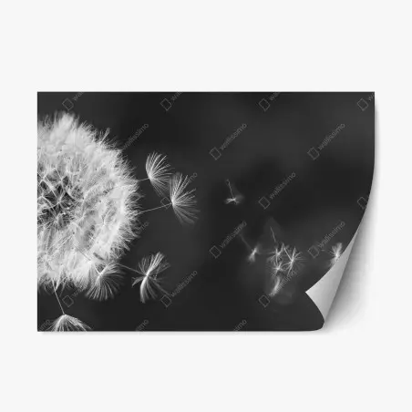 Sticker repositionnable souffle de pissenlit en noir et blanc – Wallnifity®