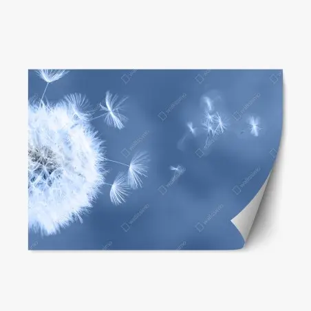 Sticker repositionnable pissenlit en suspension sur fond bleu – Wallnifity®