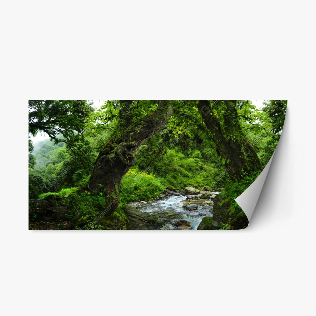 Sticker repositionnable arc naturel verdoyant au bord du ruisseau – Wallnifity® Sticker repositionnable arc naturel verdoyant au bord du ruisseau – Wallnifity®