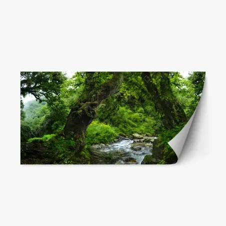 Sticker repositionnable arc naturel verdoyant au bord du ruisseau – Wallnifity®