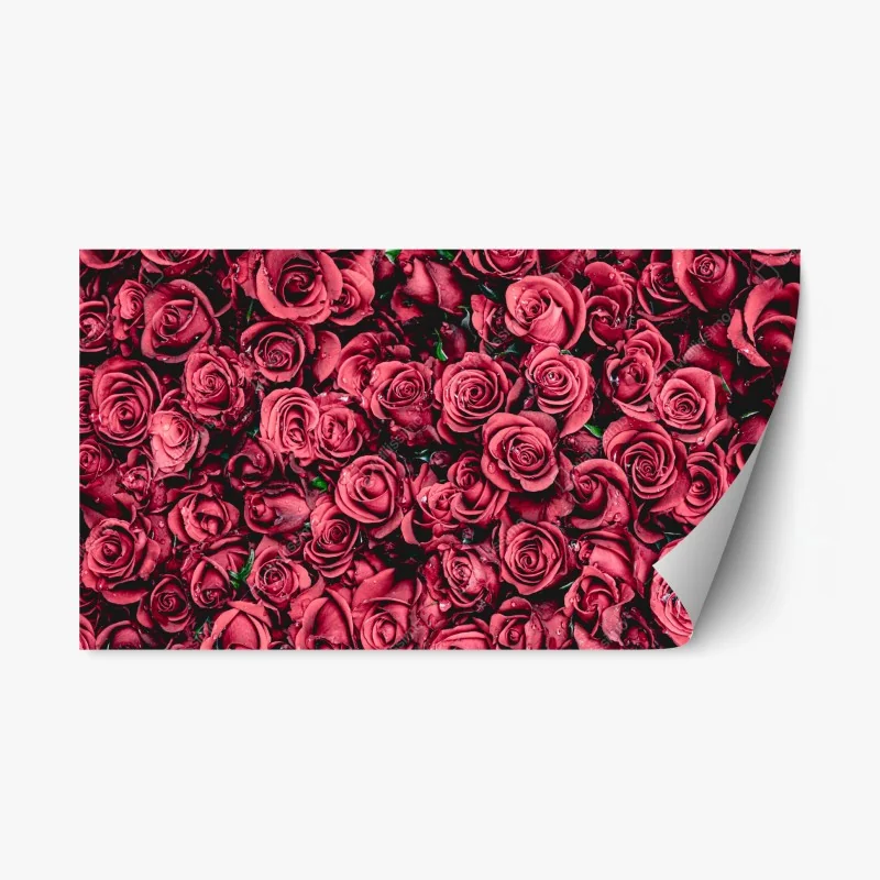 Fleurs et plantes – Wallnifity®