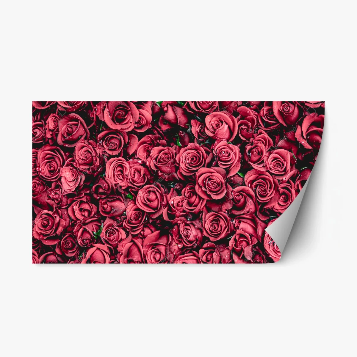 Sticker repositionnable bouquet de roses rouges en gros plan – Wallnifity® Sticker repositionnable bouquet de roses rouges en gros plan – Wallnifity®