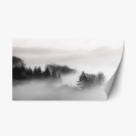 Sticker repositionnable forêt embrumée en noir et blanc – Wallnifity®