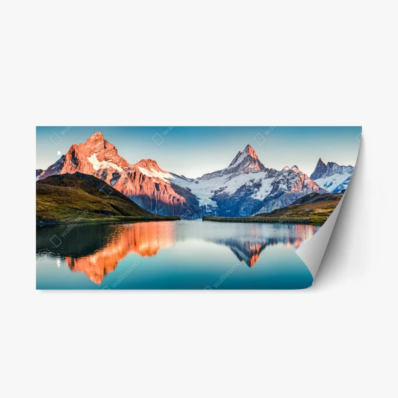 Scandinave – Wallnifity®