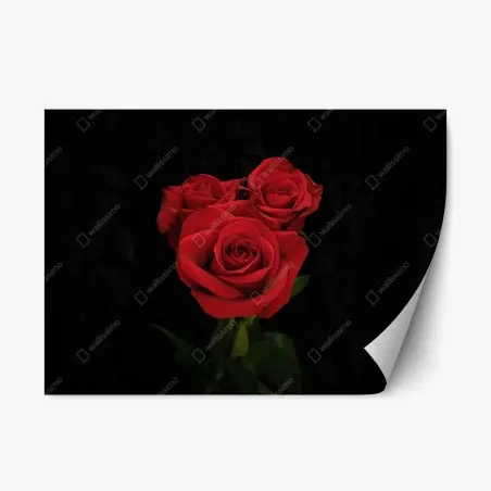 Sticker repositionnable bouquet de roses rouges sur fond noir – Wallnifity®