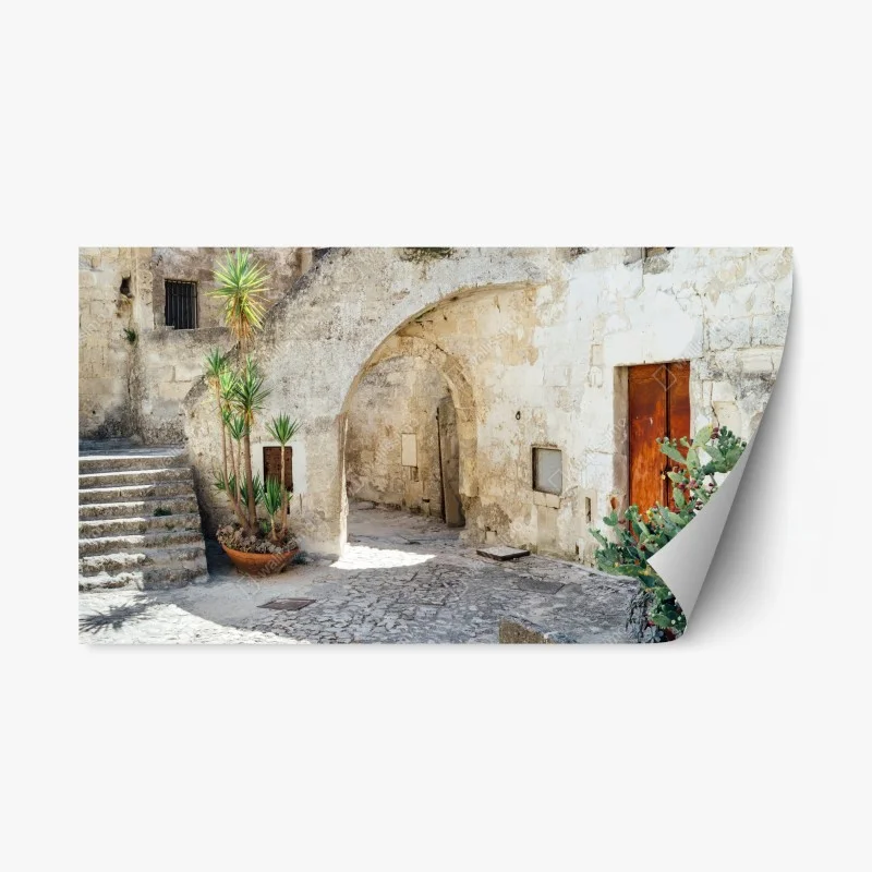 Sticker repositionnable ruelle en pierre méditerranéenne avec cactus – Wallnifity®