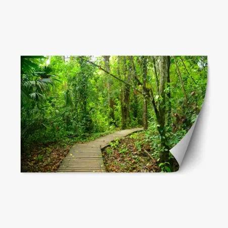 Sticker repositionnable chemin en bois au cœur de la forêt tropicale – Wallnifity®