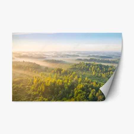 Sticker repositionnable brume matinale au marais de Zvanets – Wallnifity®