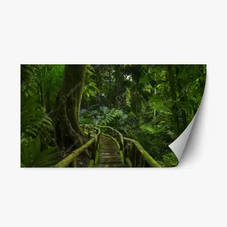 Sticker repositionnable promenade mystérieuse au cœur de la jungle – Wallnifity®