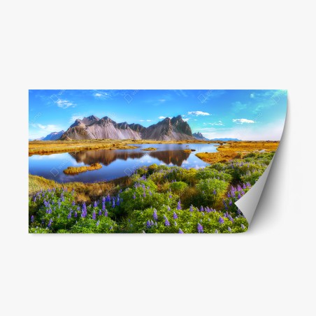 Sticker repositionnable prairie de lupins au bord de la lagune de Stokksnes, Vestrahorn – Wallnifity®