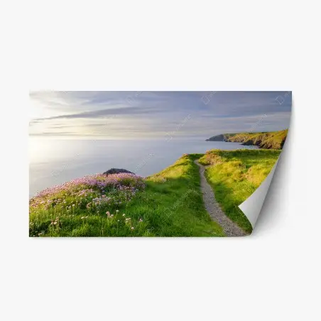 Sticker repositionnable sentier côtier au crépuscule à Ceibwr Bay, Pays de Galles – Wallnifity®