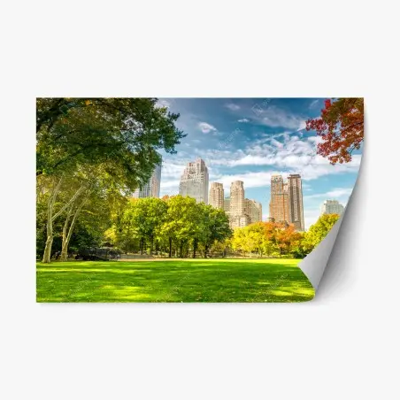 Sticker repositionnable paysage automnal à Central Park, New York – Wallnifity®