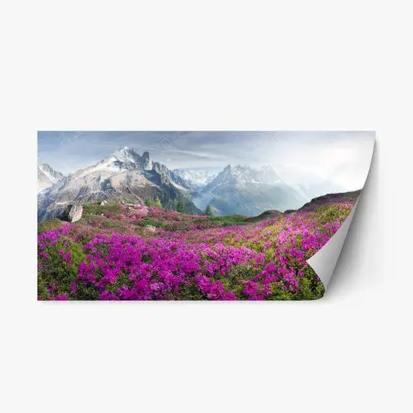 Sticker repositionnable champ de rhododendrons au pied du Mont Blanc – Wallnifity®