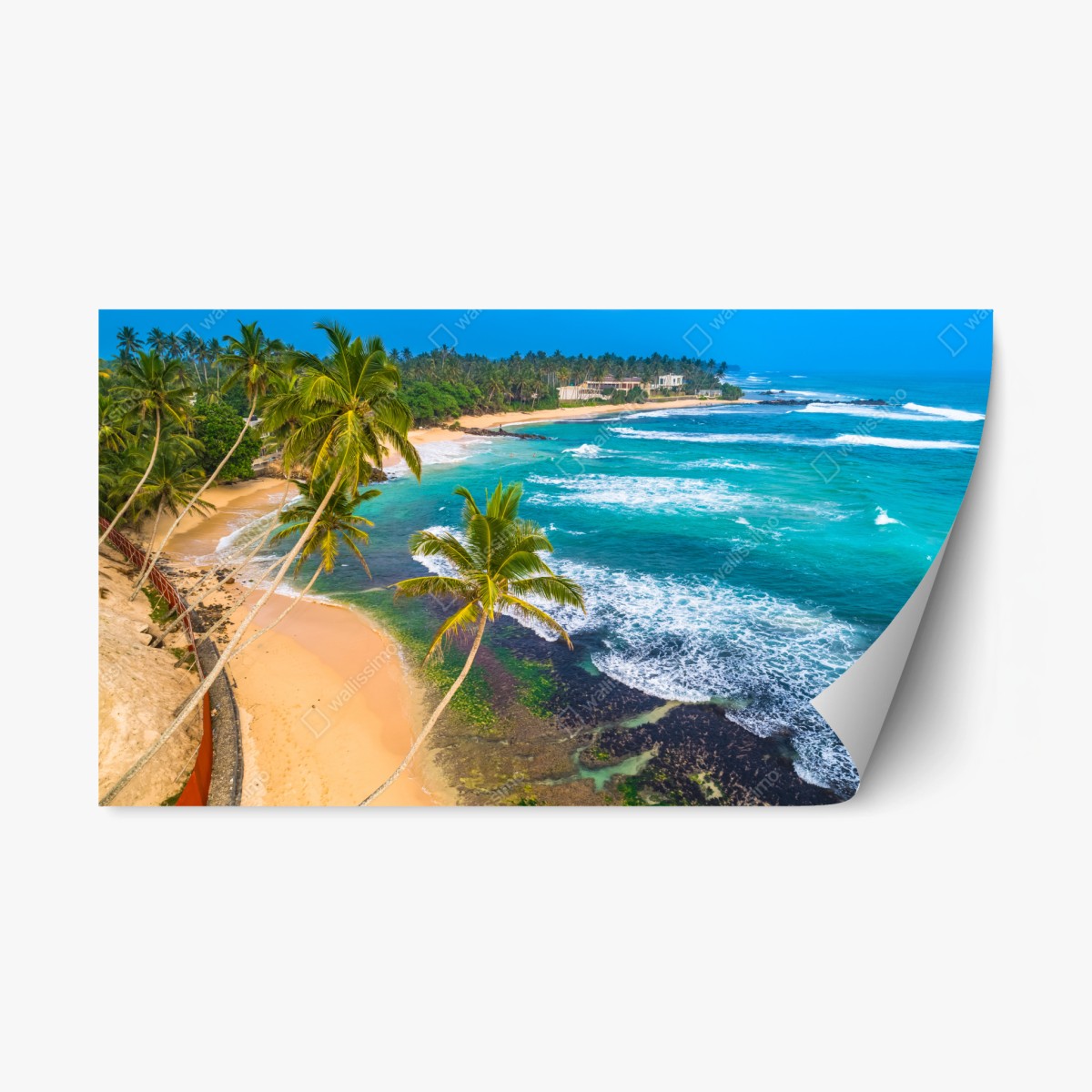 Sticker repositionnable paysage côtier tropical avec palmiers – Wallnifity®