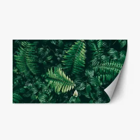 Sticker repositionnable mur de verdure tropicale sombre – Wallnifity®