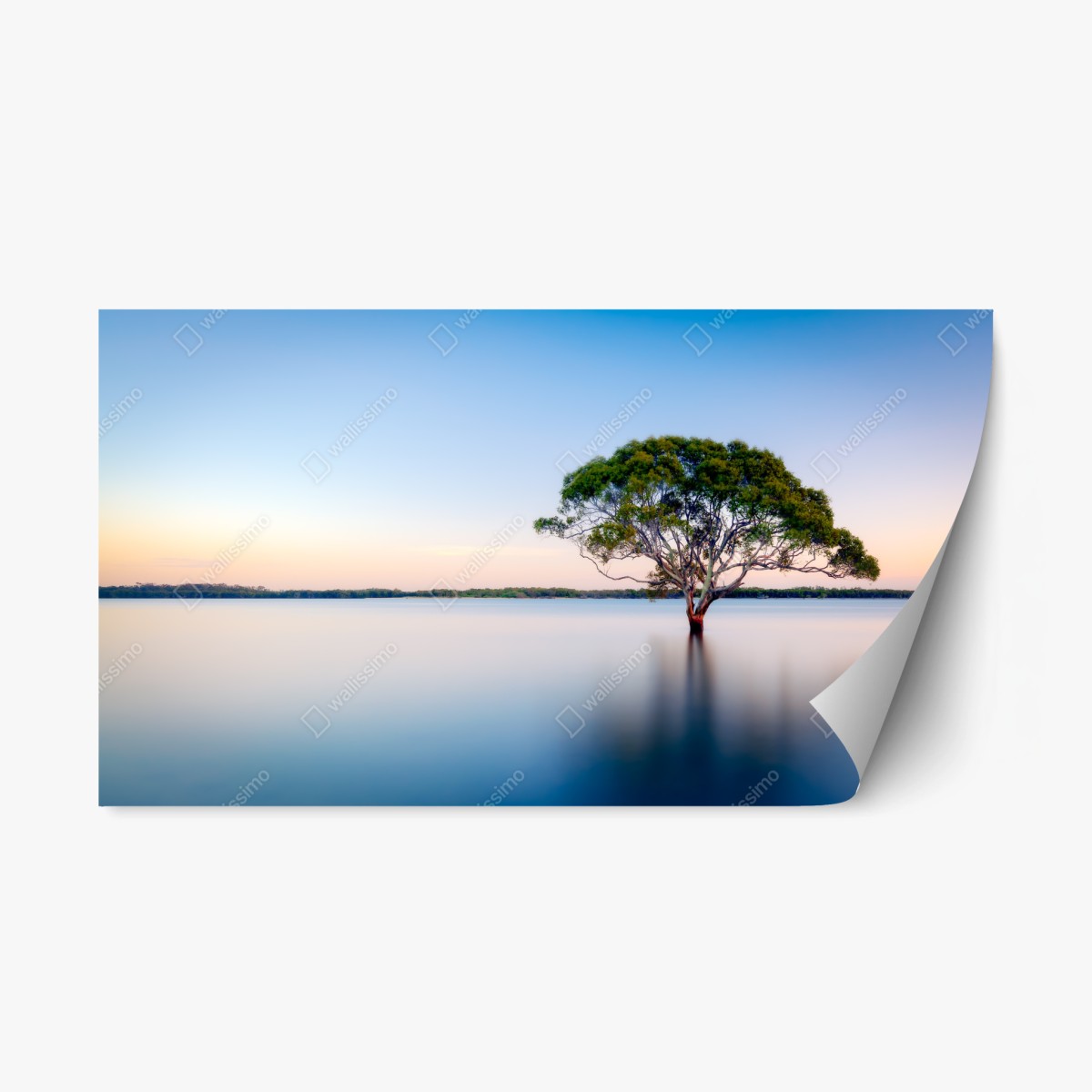 Sticker repositionnable arbre solitaire au milieu du lac – Wallnifity®