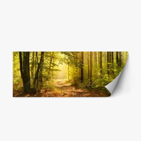 Sticker repositionnable chemin forestier baigné de lumière dorée – Wallnifity®