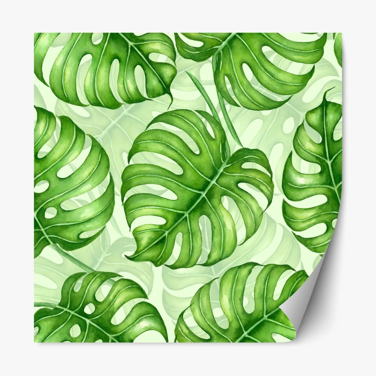 Sticker repositionnable motif tropical de feuilles de monstera – Wallnifity® Sticker repositionnable motif tropical de feuilles de monstera – Wallnifity®