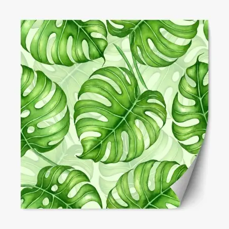 Sticker repositionnable motif tropical de feuilles de monstera – Wallnifity®