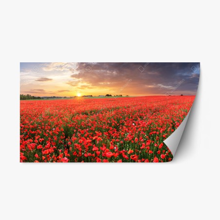 Sticker repositionnable mer de coquelicots au coucher du soleil – Wallnifity®