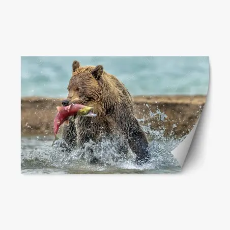 Sticker repositionnable ours brun attrapant un saumon – Wallnifity®