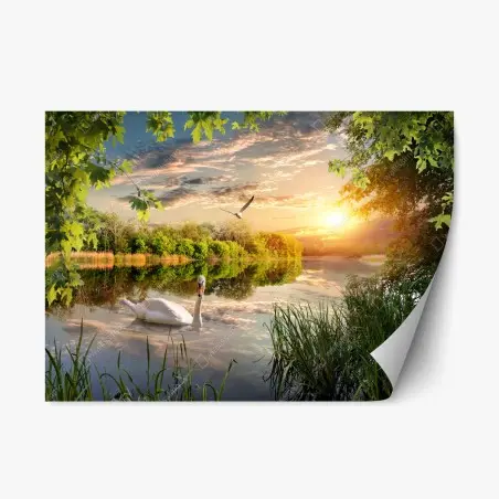 Sticker repositionnable paysage au coucher de soleil avec un cygne blanc – Wallnifity®
