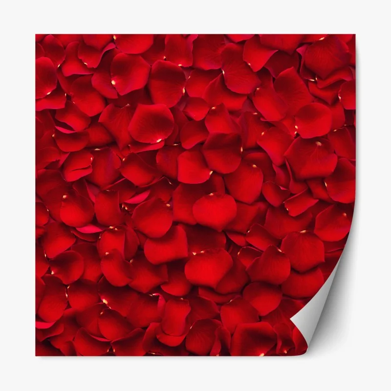 Fleurs et plantes – Wallnifity®