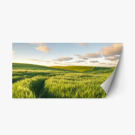Sticker repositionnable panorama de champs verts au printemps – Wallnifity®