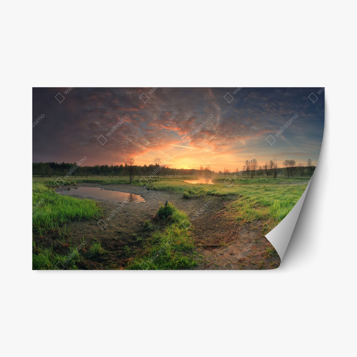 Sticker repositionnable aube tranquille sur le marais – Wallnifity®