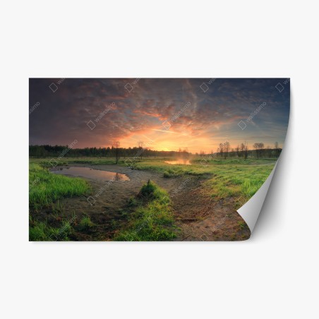 Sticker repositionnable aube tranquille sur le marais – Wallnifity®